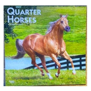 Calendar “Quarter Horses” Sixteen Months Brand New Gorgeous Photography